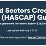 Read more about the article HASCAP全解析 政府贷款能不能借？