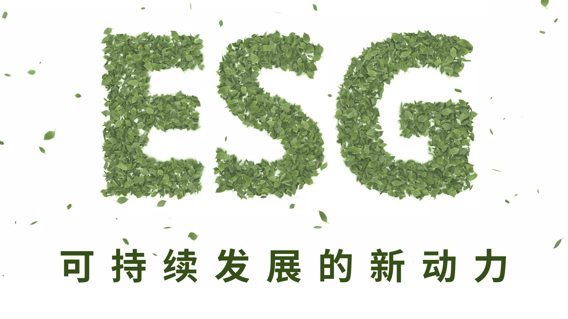 Read more about the article ESG – 可持续发展的动力 | AI Financial恒益投资