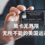 Read more about the article American Express 黑卡 | AI Financial恒益投资