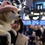 Read more about the article 标普500创下新高，道指跃升400点，特朗普推动低利率与低油价| AiF 财经日报