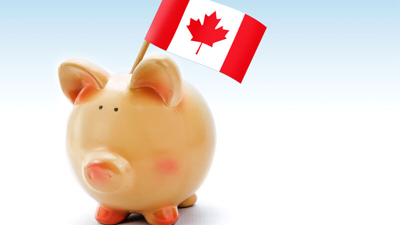 2024年加拿大家庭支出与储蓄双双上升：收入增长、通胀放缓