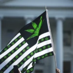 Read more about the article 大麻股暴涨30%！AiF：川普重新分类是行业“正名”与“黑钱”洗白良机 | AiF insight