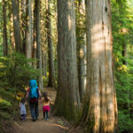 Read more about the article 调查显示：身心健康支出正在挤压加拿大人的基本生活预算 | AiF insight