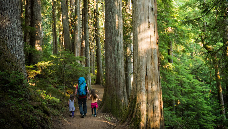 调查显示：身心健康支出正在挤压加拿大人的基本生活预算