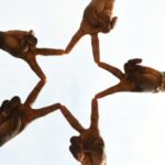 Read more about the article 客户体验是一场团队运动 Advisor必须重视的核心竞争力 | AiF Advisor